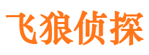 岱岳市侦探调查公司